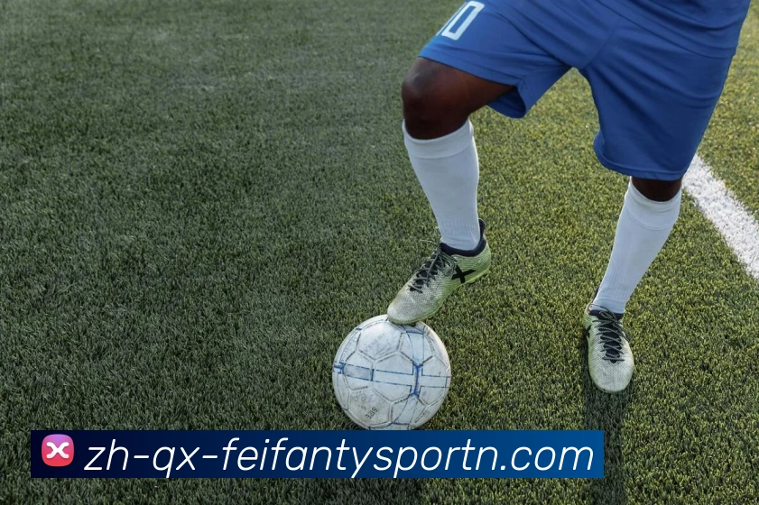 非凡体育APP 封面图